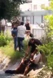 BOĞULMAK ÜZERE OLAN ÇOCUĞU VATANDAŞLAR SON ANDA KURTARDI