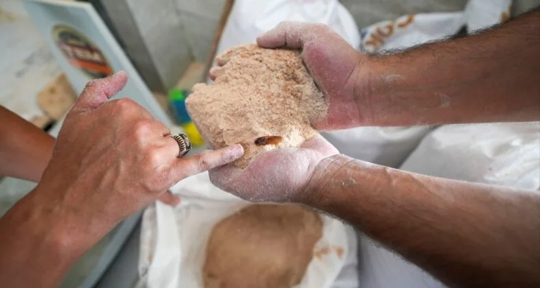 Un fabrikasında şoke eden görüntü