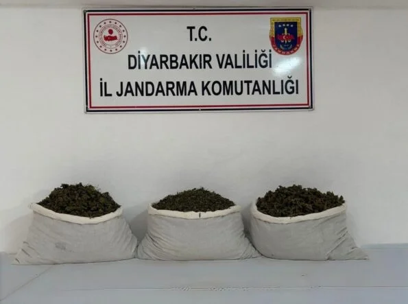 DİYARBAKIR'DA 253 BİN KÖK KENEVİR VE 42 KİLO ESRAR ELE GEÇİRİLDİ