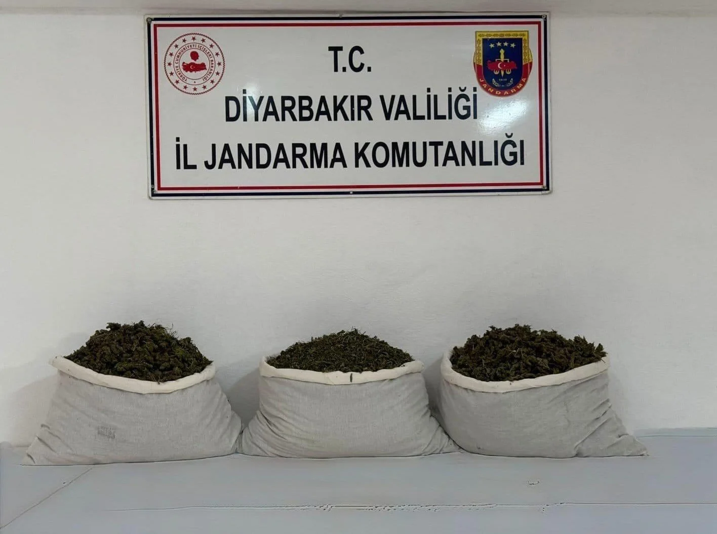 Diyarbakır’da 253 bin kök kenevir ve 42 kilo esrar ele geçirildi