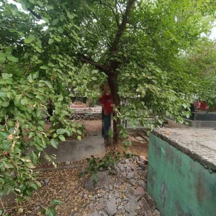 DİYARBAKIR'DA BİR KİŞİ, MEZARLIKTA AĞACA ASILI HALDE ÖLÜ BULUNDU
