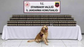 DİYARBAKIR'DA KAÇAKÇILIK OPERASYONLARINDA 29 ŞÜPHELİ HAKKINDA İŞLEM YAPILDI