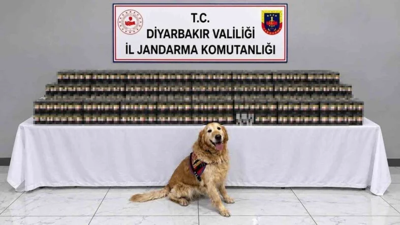 Diyarbakır’da kaçakçılık operasyonlarında 29 şüpheli hakkında işlem yapıldı