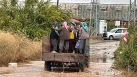 BOZYAZI'DA SAĞANAK YAĞIŞ: SERALAR VE İŞ YERLERİ SULAR ALTINDA KALDI