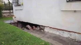 DİYARBAKIR’DA SAĞANAK NEDENİ İLE BİR MAHALLE SULAR ALTINDA KALDI